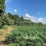  Land for sale in Preah Vihear, Rumdaoh, Rovieng, Preah Vihear