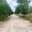  Land for sale in Preah Sihanouk, Buon, Sihanoukville, Preah Sihanouk