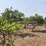  Land for sale in Stung Treng, Srae Sambour, Siem Pang, Stung Treng