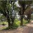  Land for sale in Preah Sihanouk, Andoung Thma, Prey Nob, Preah Sihanouk