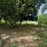 2 Bedroom Villa for sale in Kampong Speu, Chbar Mon, Chbar Mon, Kampong Speu