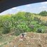  ដី for sale in សំរោងក្រោម, ខណ្ឌ​ពោធិ៍សែនជ័យ, សំរោងក្រោម