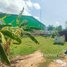  Land for sale in Soutr Nikom, Siem Reap, Dam Daek, Soutr Nikom