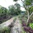  Land for sale in Stung Treng, Kbal Romeas, Sesan, Stung Treng