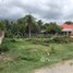  ដី for sale in Puok, ខេត្តសៀមរាប, ពួក, Puok