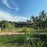  Land for sale in Khsach Kandal, Kandal, Puk Ruessei, Khsach Kandal