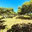  Land for sale in Ratanak Kiri, Ba Tang, Lumphat, Ratanak Kiri