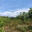 Land for sale in Pursat, Pramaoy, Veal Veaeng, Pursat