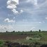  Land for sale in Banteay Meanchey, Chamnaom, Mongkol Borei, Banteay Meanchey