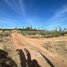  Land for sale in Kratie, Damrei Phong, Chhloung, Kratie