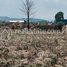  Land for sale in Pursat, Anlong Reab, Veal Veaeng, Pursat