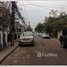  Land for sale in Chanthaboury, Vientiane, Chanthaboury