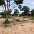  Land for sale in Praek Pnov, Phnom Penh, Kouk Roka, Praek Pnov