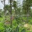  Land for sale in Rotonak Mondol, Battambang, Reaksmei Songha, Rotonak Mondol