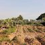  Land for sale in Banan, Battambang, Snoeng, Banan