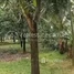  Land for sale in Mukh Kampul, Kandal, Preaek Anhchanh, Mukh Kampul