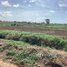  Land for sale in Banteay Meanchey, Chamnaom, Mongkol Borei, Banteay Meanchey