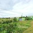  Land for sale in Samrong Tong, Samraong Tong, Samrong Tong