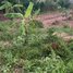  ដី for sale in កៀនស្វាយ, ខេត្តកណ្ដាល, Samraong Thum, កៀនស្វាយ