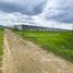  ដី for sale in Praek Pnov, ភ្នំពេញ, Kouk Roka, Praek Pnov