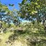  Land for sale in Preah Vihear, Pal Hal, Preah Vihear, Preah Vihear