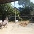  Land for sale in Chamkar Mon, Phnom Penh, Tuol Tumpung Ti Muoy, Chamkar Mon