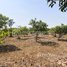  Land for sale in Stung Treng, Srae Sambour, Siem Pang, Stung Treng