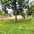  Land for sale in Chbar Ampov, Phnom Penh, Preaek Aeng, Chbar Ampov