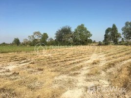  Land for sale in Kandal Stueng, Kandal, Kandaok, Kandal Stueng