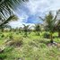 3 Bedroom House for sale in Kampong Speu, Chan Saen, Odongk, Kampong Speu