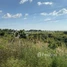  Land for sale in Kampong Thom, Trea, Stoung, Kampong Thom