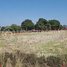  Land for sale in Prasat Bakong, Siem Reap, Mean Chey, Prasat Bakong