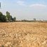  Land for sale in Kampong Thom, Samprouch, Stoung, Kampong Thom