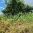  Land for sale in Lvea Aem, Kandal, Preaek Rey, Lvea Aem