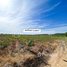  Land for sale in Kratie, Kampong Damrei, Chhloung, Kratie