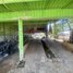 18 Bedroom Villa for sale in Praek Pnov, Phnom Penh, Ponsang, Praek Pnov