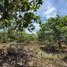 Land for sale in Stung Treng, Ou Svay, Thala Barivat, Stung Treng