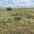 Land for sale in Kampong Speu, Sangkae Satob, Aoral, Kampong Speu