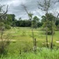  Land for sale in Preah Vihear, Thmei, Kuleaen, Preah Vihear