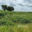 Land for sale in Ratanak Kiri, Saom Thum, Ou Ya Dav, Ratanak Kiri