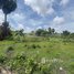 Land for sale in Kampong Speu, Yea Angk, Thpong, Kampong Speu