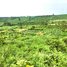  Land for sale in Kratie, Kanhchor, Chhloung, Kratie