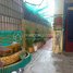 2 Bedroom Apartment for rent at ផ្ទះលក់ ឬ ផ្ទះជួល នៅ លំនៅឋានវាលស្បូវ ផ្លូវជាតិ1 ច្បារអំពៅ, Veal Sbov, Chbar Ampov