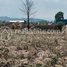 Land for sale in Pursat, Ou Saom, Veal Veaeng, Pursat
