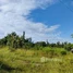  Land for sale in Preah Vihear, Kuleaen Tboung, Kuleaen, Preah Vihear
