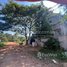 4 Bedroom Villa for sale in Siem Reap, Svay Dankum, Krong Siem Reap, Siem Reap