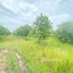  Land for sale in Kratie, Ou Krieng, Sambour, Kratie