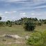  Land for sale in Kampong Speu, Damnak Reang, Odongk, Kampong Speu