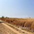  Land for sale in Kratie, Chrouy Banteay, Prek Prasab, Kratie