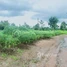  Land for sale in Preah Vihear, Kantuot, Choam Ksant, Preah Vihear